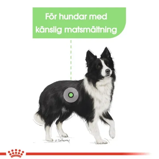 Royal Canin Digestive Care Medium Adult Torrfoder för Hund 12 kg