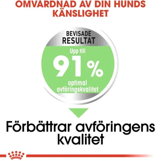 Royal Canin Digestive Care Medium Adult Torrfoder för Hund 12 kg