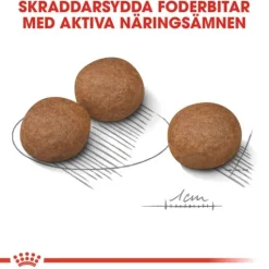 Royal Canin Digestive Care Medium Adult Torrfoder för Hund 12 kg