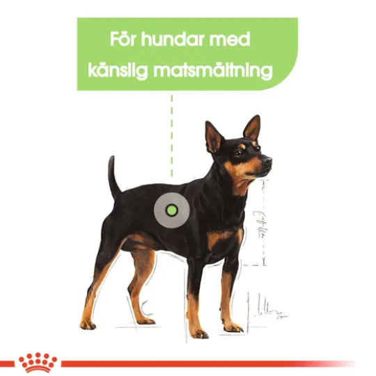 Royal Canin Digestive Care Mini Adult Torrfoder för Hund 3 kg