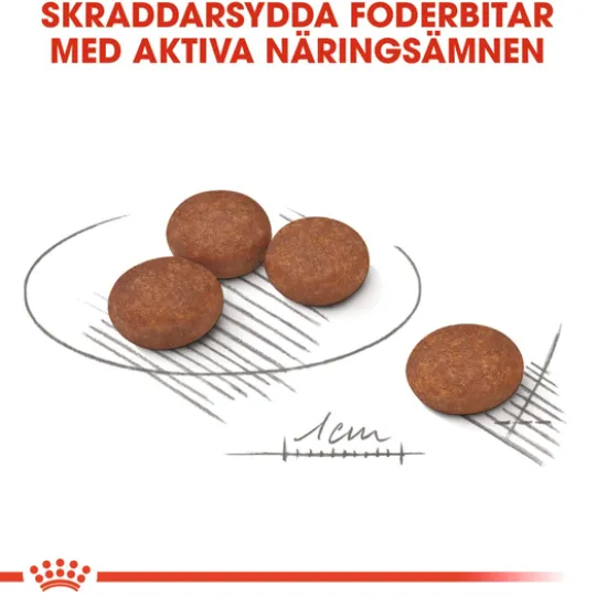 Royal Canin Digestive Care Mini Adult Torrfoder för Hund 3 kg