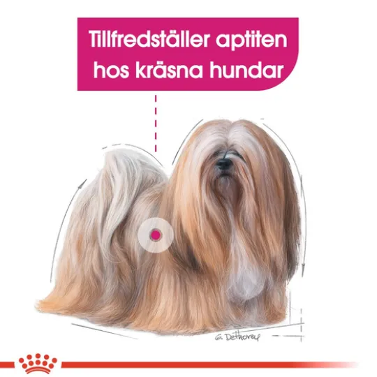 Royal Canin Exigent Mini Adult Torrfoder för Hund 3 kg