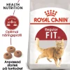 Royal Canin Fit Adult Torrfoder för Katt 10 kg