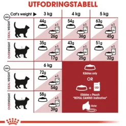 Royal Canin Fit Adult Torrfoder för Katt 10 kg