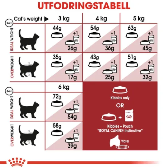 Royal Canin Fit Adult Torrfoder för Katt 10 kg