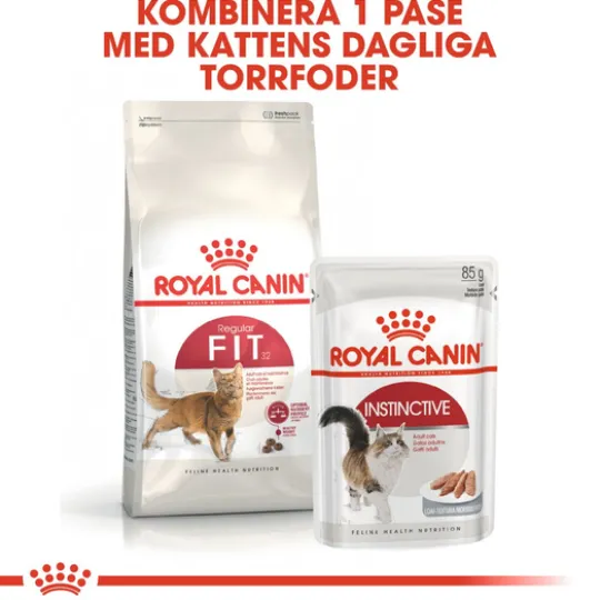 Royal Canin Fit Adult Torrfoder för Katt 10 kg