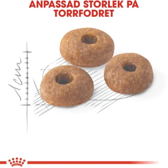 Royal Canin Fit Adult Torrfoder för Katt 10 kg