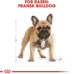 Royal Canin French Bulldog Adult Torrfoder för Hund 9 kg