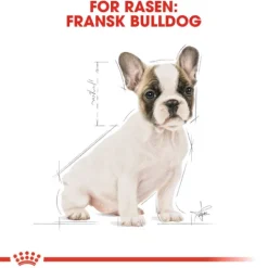 Royal Canin French Bulldog Puppy Torrfoder för Hundvalp 3 kg