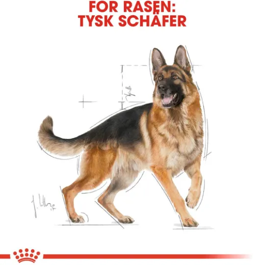 Royal Canin German Shepherd Adult Torrfoder för Hund 15 kg