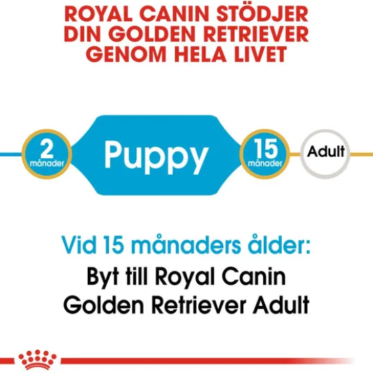 Royal Canin Golden Retriever Puppy Torrfoder för Hundvalp 12 kg