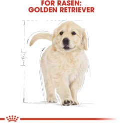 Royal Canin Golden Retriever Puppy Torrfoder för Hundvalp 12 kg