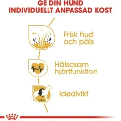 Royal Canin Golden Retriever Adult Torrfoder för Hund 15 kg