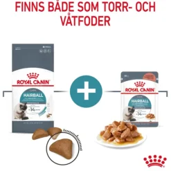 Royal Canin Hairball Care Adult Torrfoder för Katt 4 kg