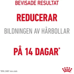 Royal Canin Hairball Care Adult Torrfoder för Katt 10 kg