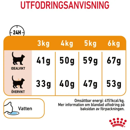 Royal Canin Hair & Skin Care Adult Torrfoder för Katt 4 kg