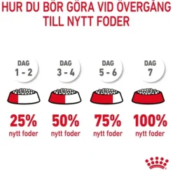 Royal Canin Hair & Skin Care Adult Torrfoder för Katt 10 kg