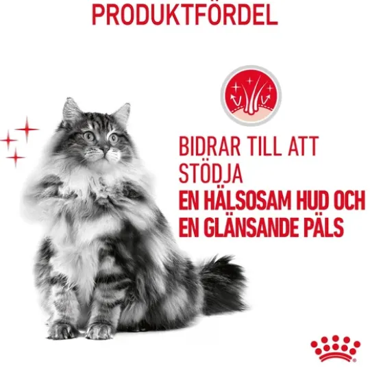 Royal Canin Hair & Skin Care Adult Torrfoder för Katt 2 kg