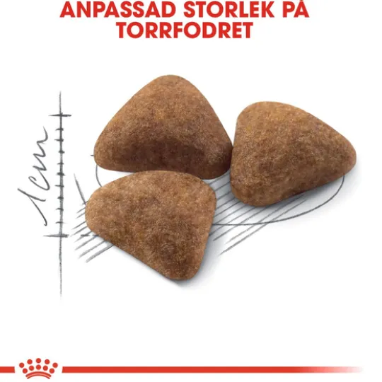Royal Canin Indoor Adult Torrfoder för Katt 10 kg