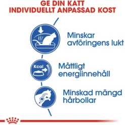 Royal Canin Indoor Adult Torrfoder för Katt 10 kg
