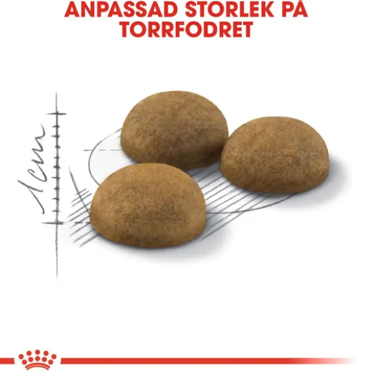 Royal Canin Indoor Long Hair Adult Torrfoder för Katt 10 kg