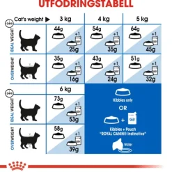 Royal Canin Indoor Long Hair Adult Torrfoder för Katt 10 kg