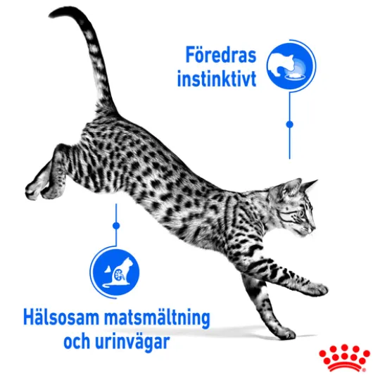 Royal Canin Indoor Sterilised Gravy Adult Våtfoder för Katt 1,02 kg