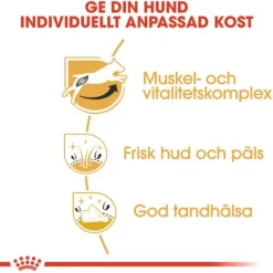 Royal Canin Jack Russel Adult Torrfoder för Hund 7,5 kg
