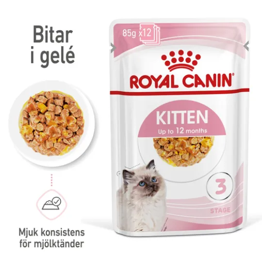 Royal Canin Kitten Jelly Våtfoder för Kattunge 1,02 kg