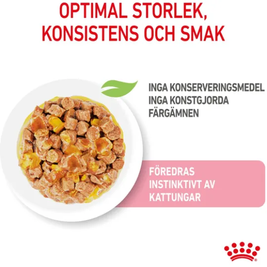 Royal Canin Kitten Jelly Våtfoder för Kattunge 1,02 kg