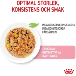 Royal Canin Kitten Sterilised Jelly Våtfoder för Kattunge 1,02 kg