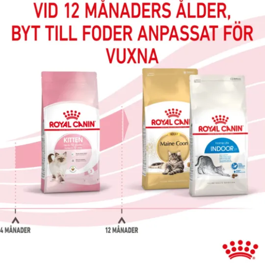 Royal Canin Kitten Torrfoder för Kattunge 10 kg