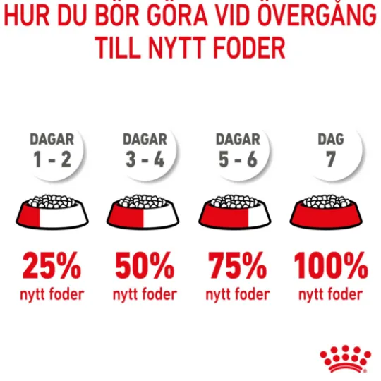 Royal Canin Kitten Torrfoder för Kattunge 2 kg