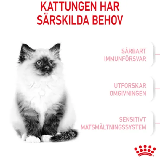 Royal Canin Kitten Torrfoder för Kattunge 4 kg
