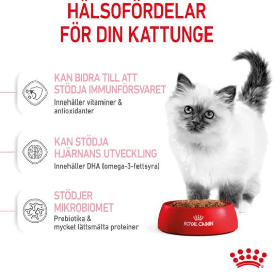 Royal Canin Kitten Torrfoder för Kattunge 4 kg