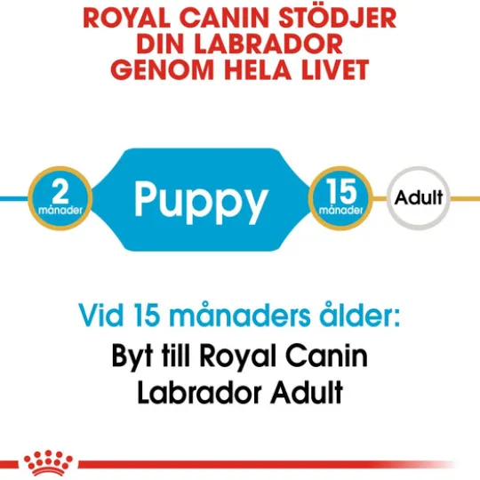 Royal Canin Labrador Retriever Puppy Torrfoder för Hundvalp 12 kg
