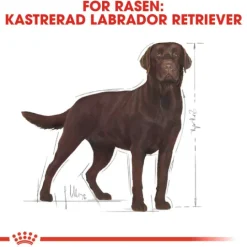 Royal Canin Labrador Retriever Sterilised Adult Torrfoder för Hund 12 kg