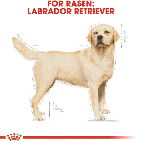 Royal Canin Labrador Retriever Adult Torrfoder för Hund 12 kg