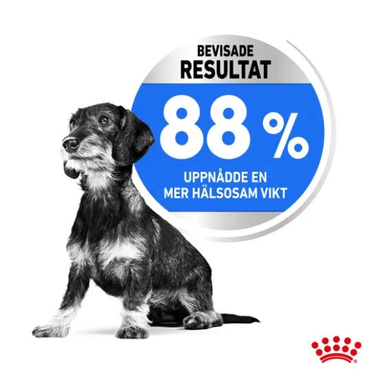 Royal Canin Light Weight Care Mini Adult Torrfoder för Hund 8 kg