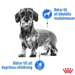 Royal Canin Light Weight Care Mini Adult Torrfoder för Hund 8 kg