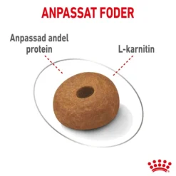 Royal Canin Light Weight Care Maxi Adult Torrfoder för Hund 12 kg