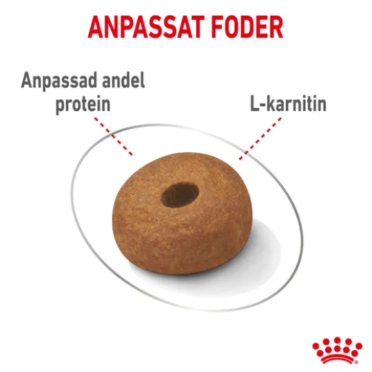 Royal Canin Light Weight Care Maxi Adult Torrfoder för Hund 12 kg