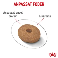 Royal Canin Light Weight Care Mini Adult Torrfoder för Hund 3 kg
