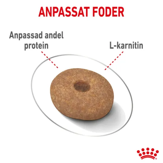 Royal Canin Light Weight Care Mini Adult Torrfoder för Hund 8 kg