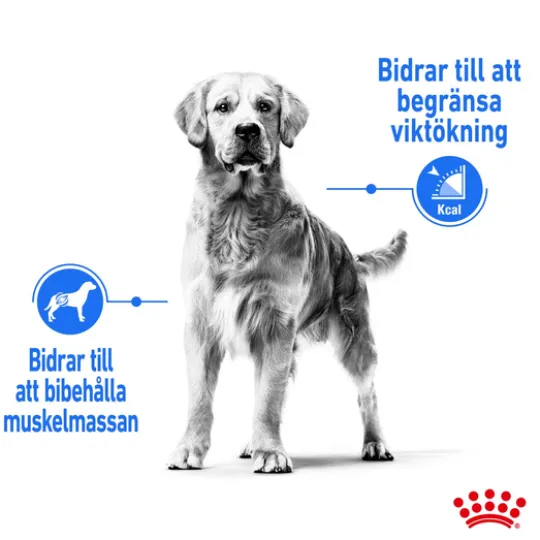Royal Canin Light Weight Care Medium Adult Torrfoder för Hund 12 kg