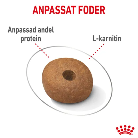 Royal Canin Light Weight Care Medium Adult Torrfoder för Hund 12 kg
