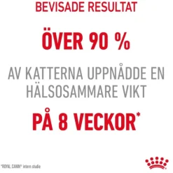 Royal Canin Light Weight Care Adult Torrfoder för Katt 8 kg