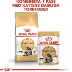 Royal Canin Maine Coon Adult Torrfoder för Katt 10 kg
