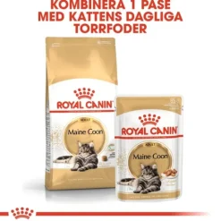 Royal Canin Maine Coon Adult Torrfoder för Katt 10 kg