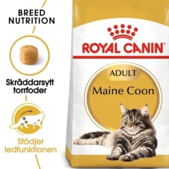 Royal Canin Maine Coon Adult Torrfoder för Katt 2 kg